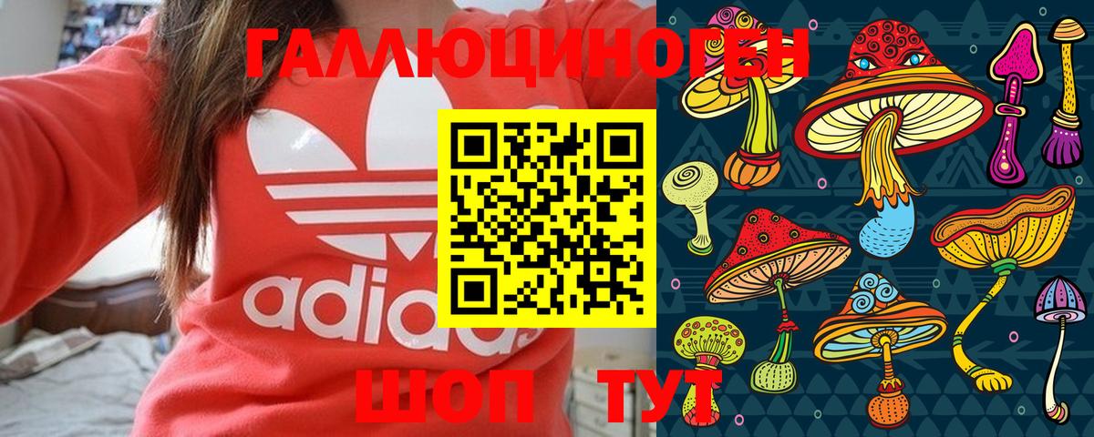 Галлюциногенные грибы мухоморы  Псилоцибиновые грибы мицелий  Волхов  Вход с VPN 